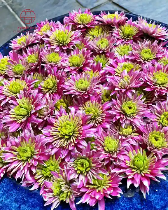 立志神社(滋賀県)