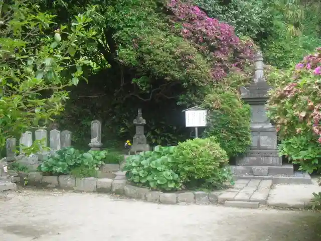 安養院 (田代寺)の自然