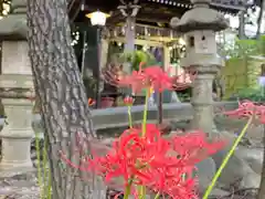 東海市熊野神社の建物その他