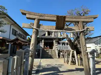 高崎神社の{uncategorized: "未分類", other: "その他", undefined: "問題あり", building: "その他建物", grave: "お墓", sacred_gate: "鳥居", guardian: "狛犬", statue: "像", buddha: "仏像", history: "歴史", nature: "自然", garden: "庭園", animal: "動物", pagoda: "塔", temizu: "手水舎", mountain_gate: "山門・神門", sanctuary: "本殿・本堂", subordinate: "末社・摂社", art: "芸術", scenery: "景色", jizo: "地蔵", ema: "絵馬", goshuin: "御朱印", omikuji: "おみくじ", items: "授与品その他", amulet: "お守り", goshuincho: "御朱印帳", eats: "食事", festival: "お祭り", votive_dance: "神楽", shichigosan: "七五三参", wedding: "結婚式", experience: "体験その他", initially: "初詣", around: "周辺", anti_infection: "感染症対策"}