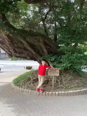 鹿島神宮(茨城県)