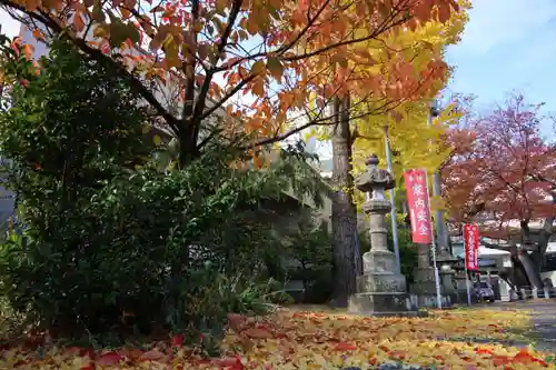 阿邪訶根神社の自然