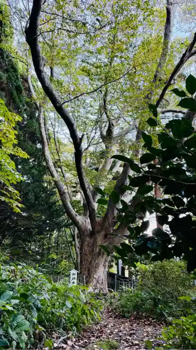 函館八幡宮(北海道)