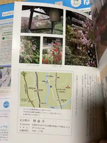 神童寺の{uncategorized: "未分類", other: "その他", undefined: "問題あり", building: "その他建物", grave: "お墓", sacred_gate: "鳥居", guardian: "狛犬", statue: "像", buddha: "仏像", history: "歴史", nature: "自然", garden: "庭園", animal: "動物", pagoda: "塔", temizu: "手水舎", mountain_gate: "山門・神門", sanctuary: "本殿・本堂", subordinate: "末社・摂社", art: "芸術", scenery: "景色", jizo: "地蔵", ema: "絵馬", goshuin: "御朱印", omikuji: "おみくじ", items: "授与品その他", amulet: "お守り", goshuincho: "御朱印帳", eats: "食事", festival: "お祭り", votive_dance: "神楽", shichigosan: "七五三参", wedding: "結婚式", experience: "体験その他", initially: "初詣", around: "周辺", anti_infection: "感染症対策"}