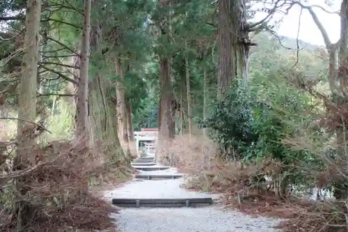 高天彦神社の自然