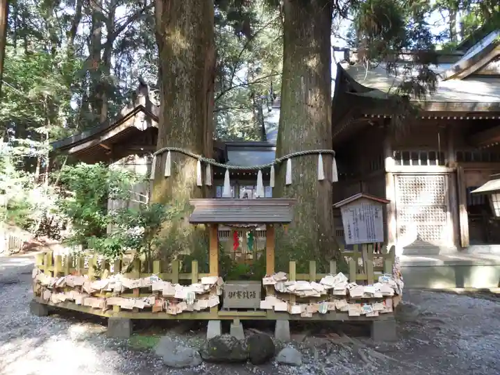 高千穂神社(宮崎県)