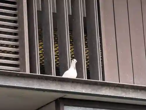 靖國神社(東京都)