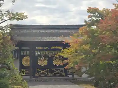 三宝院(三宝院門跡)(京都府)