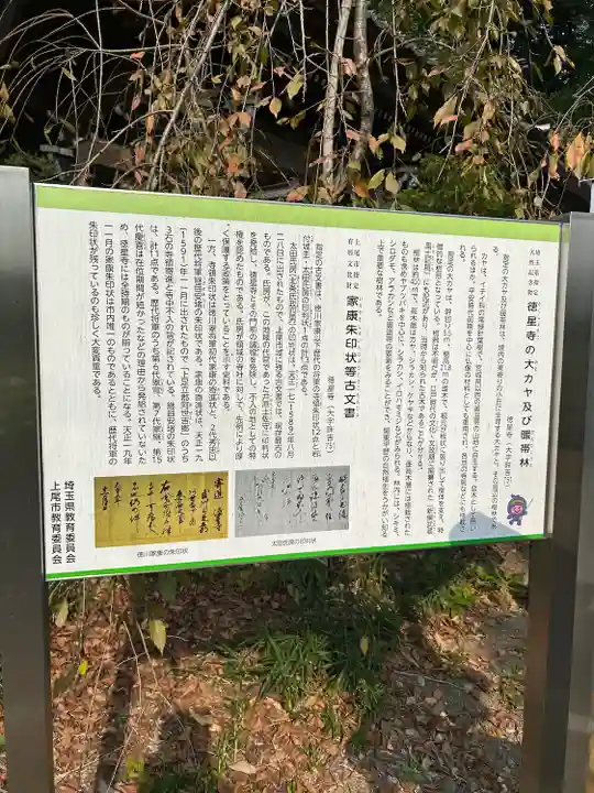 徳星寺(埼玉県)