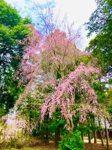 岡見八坂神社(茨城県)
