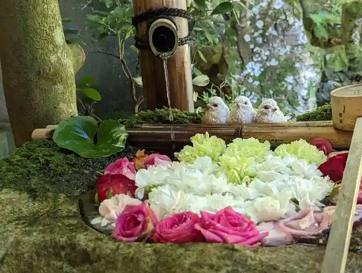 柳谷観音 楊谷寺の手水舎