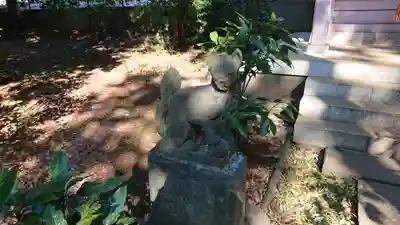 八雲氷川神社の狛犬