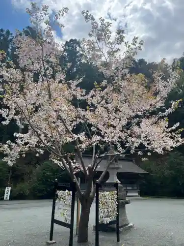 金刀比羅神社の{uncategorized: "未分類", other: "その他", undefined: "問題あり", building: "その他建物", grave: "お墓", sacred_gate: "鳥居", guardian: "狛犬", statue: "像", buddha: "仏像", history: "歴史", nature: "自然", garden: "庭園", animal: "動物", pagoda: "塔", temizu: "手水舎", mountain_gate: "山門・神門", sanctuary: "本殿・本堂", subordinate: "末社・摂社", art: "芸術", scenery: "景色", jizo: "地蔵", ema: "絵馬", goshuin: "御朱印", omikuji: "おみくじ", items: "授与品その他", amulet: "お守り", goshuincho: "御朱印帳", eats: "食事", festival: "お祭り", votive_dance: "神楽", shichigosan: "七五三参", wedding: "結婚式", experience: "体験その他", initially: "初詣", around: "周辺", anti_infection: "感染症対策"}