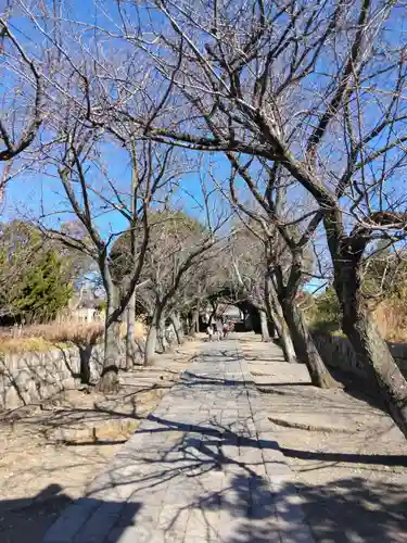 時宗総本山 遊行寺（正式：清浄光寺）(神奈川県)