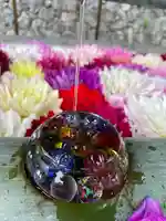 岡寺(龍蓋寺)の手水舎