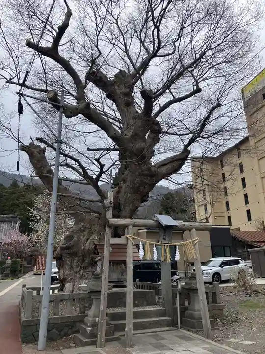住吉神社(彌彦神社境外末社)(新潟県)