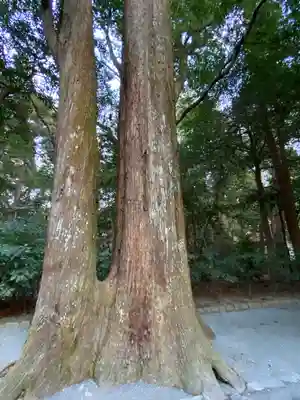 伊勢神宮外宮（豊受大神宮）(三重県)