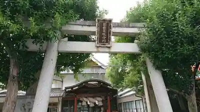 出雲大社松山分祠の鳥居