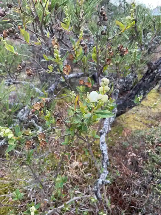 萬勝寺(飯高観音)の庭園