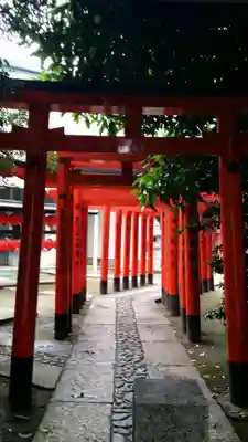 豊栄稲荷神社の鳥居