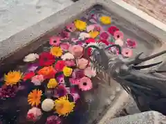 札幌諏訪神社の手水