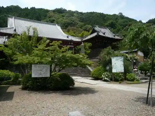 矢田寺の本殿・本堂