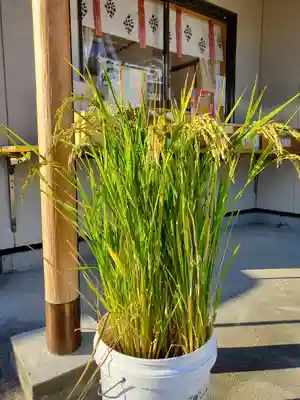 大鏑神社の授与品その他