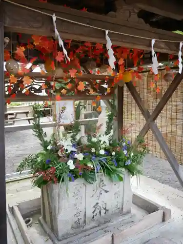 温泉神社〜いわき湯本温泉〜の手水舎