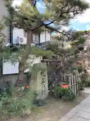 十二所神社の自然