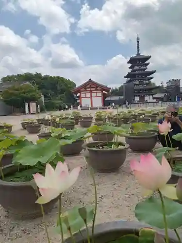 薬師寺(奈良県)