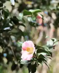 鹿島大神宮(福島県)