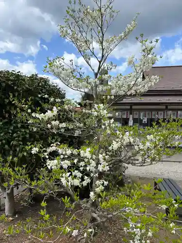 今市報徳二宮神社(栃木県)