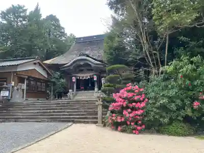 宇佐八幡宮(山口県)