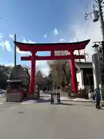 鷲宮神社(埼玉県)