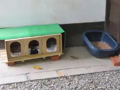 行願寺（革堂）(京都府)