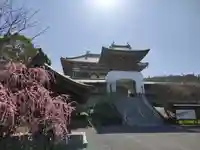 妙法寺の山門・神門