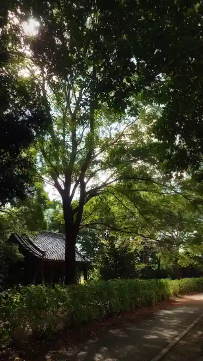 白髭社のその他建物