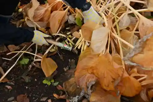 宝光寺(北海道)