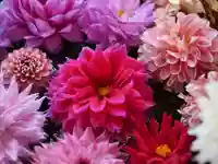 高司神社〜むすびの神の鎮まる社〜(福島県)