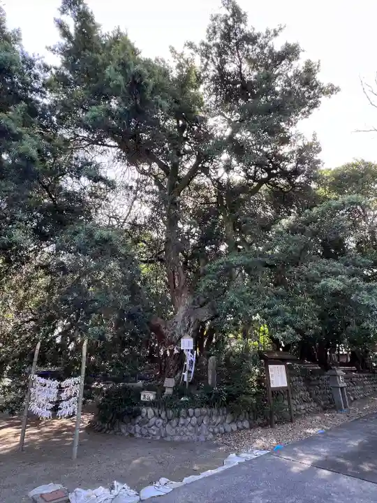 白羽神社(静岡県)