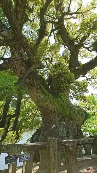 與止日女神社の自然