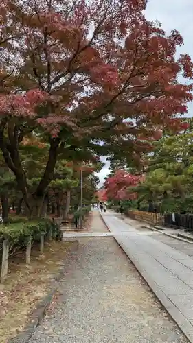 建仁寺（建仁禅寺）の建物その他