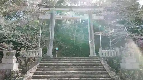 高知県護国神社の鳥居