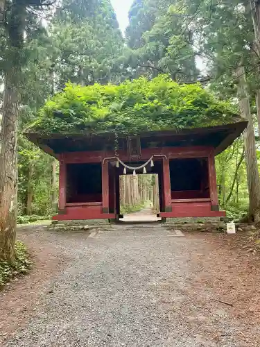戸隠神社奥社の{uncategorized: "未分類", other: "その他", undefined: "問題あり", building: "その他建物", grave: "お墓", sacred_gate: "鳥居", guardian: "狛犬", statue: "像", buddha: "仏像", history: "歴史", nature: "自然", garden: "庭園", animal: "動物", pagoda: "塔", temizu: "手水舎", mountain_gate: "山門・神門", sanctuary: "本殿・本堂", subordinate: "末社・摂社", art: "芸術", scenery: "景色", jizo: "地蔵", ema: "絵馬", goshuin: "御朱印", omikuji: "おみくじ", items: "授与品その他", amulet: "お守り", goshuincho: "御朱印帳", eats: "食事", festival: "お祭り", votive_dance: "神楽", shichigosan: "七五三参", wedding: "結婚式", experience: "体験その他", initially: "初詣", around: "周辺", anti_infection: "感染症対策"}