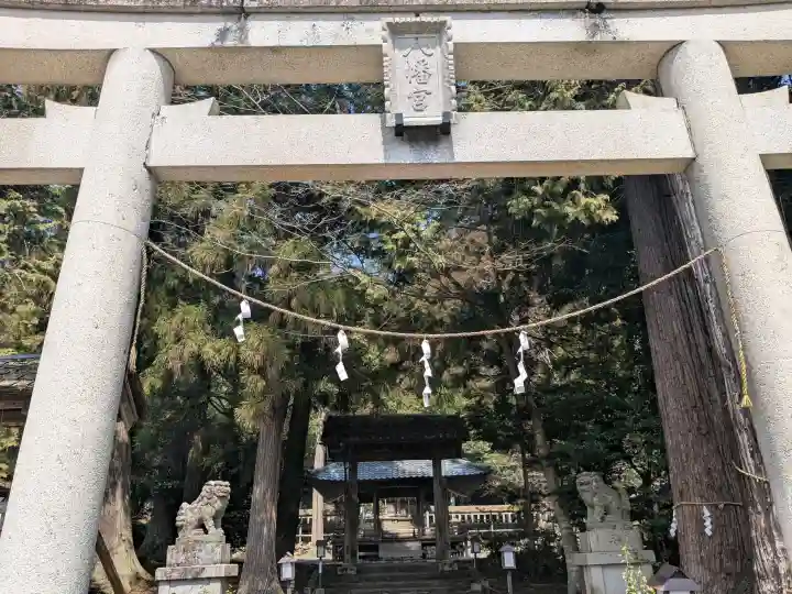 知井八幡神社の{uncategorized: "未分類", other: "その他", undefined: "問題あり", building: "その他建物", grave: "お墓", sacred_gate: "鳥居", guardian: "狛犬", statue: "像", buddha: "仏像", history: "歴史", nature: "自然", garden: "庭園", animal: "動物", pagoda: "塔", temizu: "手水舎", mountain_gate: "山門・神門", sanctuary: "本殿・本堂", subordinate: "末社・摂社", art: "芸術", scenery: "景色", jizo: "地蔵", ema: "絵馬", goshuin: "御朱印", omikuji: "おみくじ", items: "授与品その他", amulet: "お守り", goshuincho: "御朱印帳", eats: "食事", festival: "お祭り", votive_dance: "神楽", shichigosan: "七五三参", wedding: "結婚式", experience: "体験その他", initially: "初詣", around: "周辺", anti_infection: "感染症対策"}