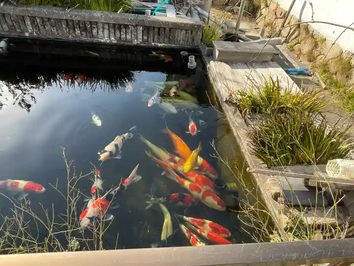 誓昌院の{uncategorized: "未分類", other: "その他", undefined: "問題あり", building: "その他建物", grave: "お墓", sacred_gate: "鳥居", guardian: "狛犬", statue: "像", buddha: "仏像", history: "歴史", nature: "自然", garden: "庭園", animal: "動物", pagoda: "塔", temizu: "手水舎", mountain_gate: "山門・神門", sanctuary: "本殿・本堂", subordinate: "末社・摂社", art: "芸術", scenery: "景色", jizo: "地蔵", ema: "絵馬", goshuin: "御朱印", omikuji: "おみくじ", items: "授与品その他", amulet: "お守り", goshuincho: "御朱印帳", eats: "食事", festival: "お祭り", votive_dance: "神楽", shichigosan: "七五三参", wedding: "結婚式", experience: "体験その他", initially: "初詣", around: "周辺", anti_infection: "感染症対策"}