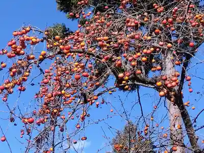 賀茂神社(福井県)