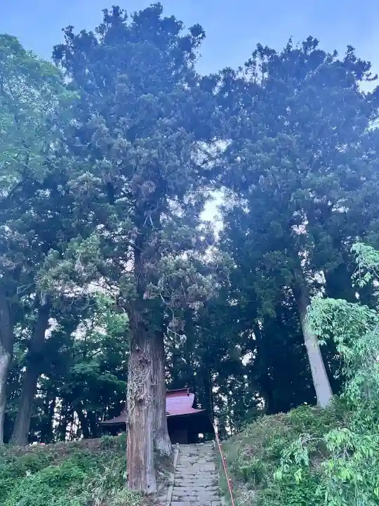 舘明神神社の{uncategorized: "未分類", other: "その他", undefined: "問題あり", building: "その他建物", grave: "お墓", sacred_gate: "鳥居", guardian: "狛犬", statue: "像", buddha: "仏像", history: "歴史", nature: "自然", garden: "庭園", animal: "動物", pagoda: "塔", temizu: "手水舎", mountain_gate: "山門・神門", sanctuary: "本殿・本堂", subordinate: "末社・摂社", art: "芸術", scenery: "景色", jizo: "地蔵", ema: "絵馬", goshuin: "御朱印", omikuji: "おみくじ", items: "授与品その他", amulet: "お守り", goshuincho: "御朱印帳", eats: "食事", festival: "お祭り", votive_dance: "神楽", shichigosan: "七五三参", wedding: "結婚式", experience: "体験その他", initially: "初詣", around: "周辺", anti_infection: "感染症対策"}
