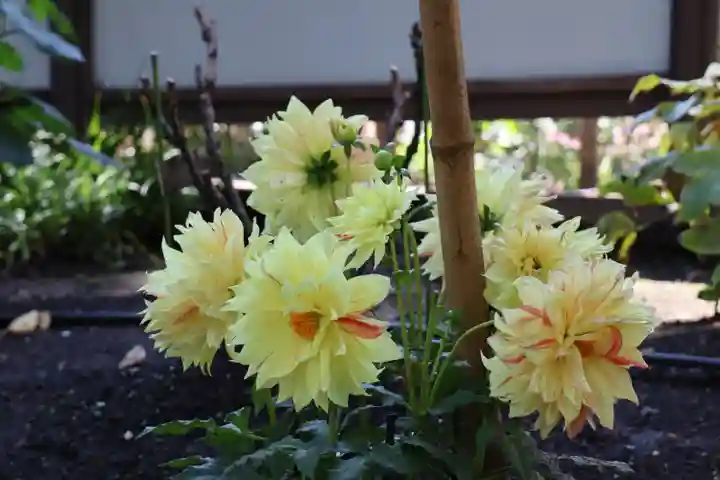 上野東照宮の庭園