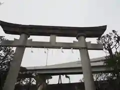 隅田川神社の鳥居